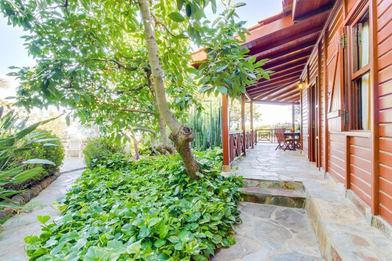 Villa Mimosa Arafo Exteriör bild